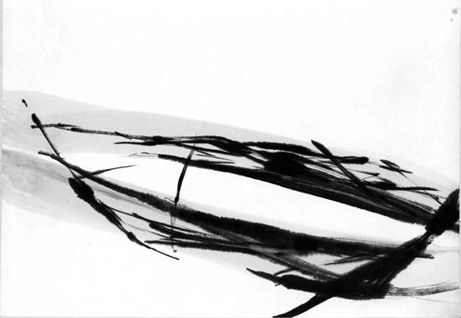 LAYERS1