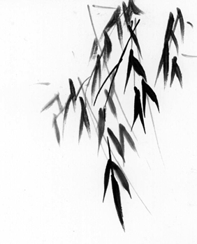BAMBOO RAIN