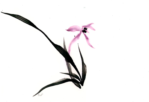 ORCHID