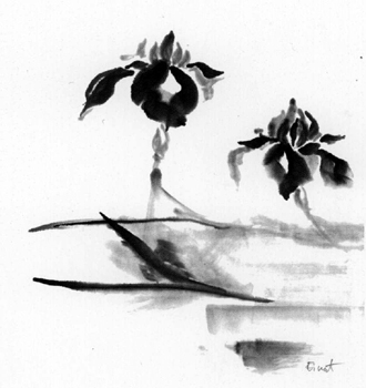 IRIS2